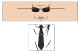 Agent Smith